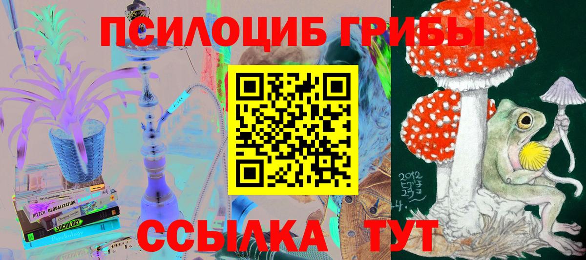 Галлюциногенные грибы Cubensis Воронеж